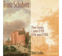 Franz Schubert: Piano Sonatas