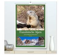 Französische Alpen, auf den Pfaden des Murmeltiers (hochwertiger Premium Wandkalender 2026 DIN A2 hoch), Kunstdruck in Hochglanz: Auf Entdeckungsreise durch die Alpen im frühen Frühling
