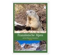 Französische Alpen, auf den Pfaden des Murmeltiers (Wandkalender 2026 DIN A3 hoch), CALVENDO Monatskalender: Auf Entdeckungsreise durch die Alpen im frühen Frühling