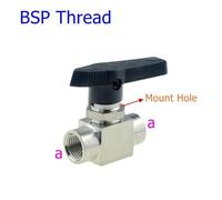 FRAOMHFW Válvula de Bola Sus 304, válvula de Aguja Ajustable de 3, 6, 8, 10, 12 mm, 1/8, 1/4, 3/8, 1/2 NPT, conexión de Casquillo de compresión, unión rápida, Rosca Hembra(Blue,A-3I8)