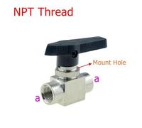 FRAOMHFW Válvula de Bola Sus 304, válvula de Aguja Ajustable de 3, 6, 8, 10, 12 mm, 1/8, 1/4, 3/8, 1/2 NPT, conexión de Casquillo de compresión, unión rápida, Rosca Hembra(Black,A-3I8)