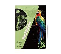 Fravsiu Scratch Off Art, Luminous Scuff Painting Card Set of 4, A4 Handmade Graffiti Landscape & Animal Artwork Toys, Creative Craft Supplies for Kids and Adults 8,27 x 5,91 pulgadas