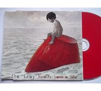 Fray, the - How to Save a Life