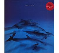 Frazier Chorus - Ray - stickered + pr