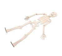 FRCOLOR 1 Juego de Desmontable DIY Educativo para Estudio de Anatomía y Sistema Esquelético