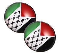 FRCOLOR 2 Piezas Broche Palestino Insignia Del Pin De La Bandera Libanesa Palestina Líbano Pines De Solapa De La Bandera Del Líbano Pin Del Botón De La Bandera Del Líbano Aleación De Zinc