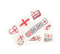 FRCOLOR 2hojas Tatuajes Falsos Decorativas y Deportivas Pegatinas Faciales Delicadas y Pequeños