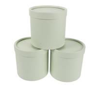 FRCOLOR 3 Piezas Caja para Flores Redonda de Papel Color Verde Claro, Ligera y Versátil para Ramos en Bodas y Día de San Valentín