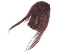 FRCOLOR 3 Piezas Peluca Aire Flequillo Peluca Flequillo Santificar Falso Extensiones De Explosión Clip En Cabello Humano Franja Falsa Historietas Mujer Pelo De Verdad Golpes