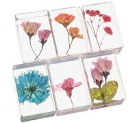 FRCOLOR 6 Piezas de Especímenes de Flores en Resina Ámbar, Pisapapeles Rectangulares, Ligeros y Portátiles para Educación y Decoración Creativa Varios estilos