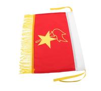 FRCOLOR Bandera de Banda de Música Bandera de Equipo Pequeña de Color para Eventos Musicales de Escuela Decoración de Aula para Fiestas para Actuaciones de Patrullas Especiales