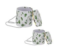 FRCOLOR Caja de Almacenamiento de Flores con Asa Redonda para de Floristería Cubo Decorativo para Embalaje de Flores para El Día de San Valentín