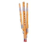 FRCOLOR Flauta Hulusi de Bambú Hecha a Mano en Clave C para Principiantes, Instrumento Musical Étnico Lengüeta de Aleación y Calabaza Natural Tallada, Diseño Tradicional para Amantes Música
