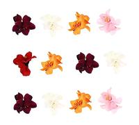 FRCOLOR Juego De 3 Para El Pelo Con Flores Para Mujer Diseño De Orquídea Accesorio Para El Pelo De Moda Decoración Para Playa Bodas Y Fiestas 12 Unidades X 3