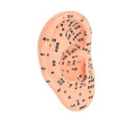 FRCOLOR Modelo De Oído Médico Masaje De Oído Modelo Anatómico Escritura Sin Desvanecimiento Gráfico Chino Completo Para Escuelas