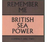 British Sea Power - Remember Me