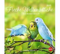 Freche Wellensittiche Postkartenkalender 2026: von Monika Wegler. Die bunten Vögel in einem kleinen Kalender zum Aufstellen und Aufhängen. Perforierter Postkarten-Fotokalender.