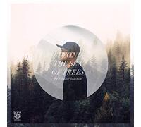 Freddie Joachim - Beyond The Sea Of Trees [Vinilo]