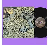 Free Rainbows Are - Waves Ahead of the Ocean [Vinilo]