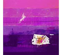 Free Throw Those Days Are Gone: 10 Year Anniversary (Vinyl) (Importación USA)