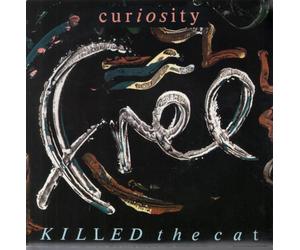 Free / Vinyl single [Vinyl-Single 7'']