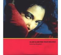 Free your feelings (Xtra Feeling Mix, feat. Gangstarr) / Vinyl Maxi Single [Vinyl 12'']