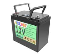 FREEDOH Batería de fosfato de Hierro y Litio de 12 V, 90 Ah y 100 Ah.