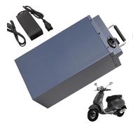 FREEDOH Batería de Litio para Motocicleta de 48 V, 15 Ah, 20 Ah, 25 Ah, 30 Ah, 40 Ah, 45 Ah, 50 Ah, 55 Ah, 60 Ah y 65 Ah, con Cargador para Motor de 0 a 3200 W.,48v45ah