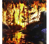 Freedom Engine - A Box Full of Magic [Vinilo]