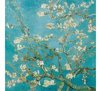 Freelance Servilletas de papel para almuerzo, cena, fiesta, 3 capas, 20 unidades, 33 x 33 cm, fabricado en los Países Bajos