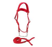 FRELEAN Red Adjustable Horse Bridle with Removable Snaffle bit | Soft Cushion Headstall for Comfort & Control | Sturdy Rein Harness for Training/Riding/Show | All - Weather PP Material
