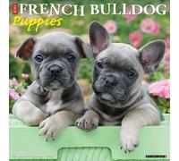 French Bulldog Puppies 2027 Wall