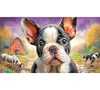 French-Bulldog Puzzle Adultos 1000 Piezas Juego desafiante Educativo Papel Reciclado para relajación y Creatividad 38x52/1000pcs