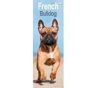 French Bulldog Slim Calendar 2026 Dog Breed Slimline Calendar - 12 Month