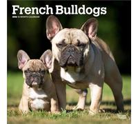 French Bulldogs 2026 12 X 24 Inch (Hanging) Monthly Square Wall Calendar Plastic-Free