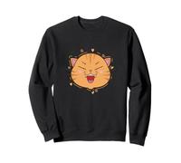 Frenos de Gato Encanto y Humor en uno Sudadera