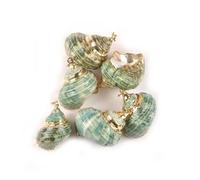 FREOJGU Decoración con Conchas Concha Espiral Dorada y Verde de 20-30mm, 5 uds., for joyería DIY, dijes Hechos a Mano, Colgante Concha Marina, decoración del hogar