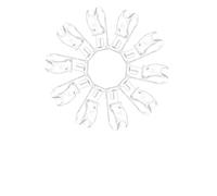 FREOJGU Ganchos para Cortinas 10 Ganchos enrollables for persianas, Clips Transparentes en Forma de P, Tensor fijación for Cortinas, decoración del hogar, bucles persiana, guía Cadena