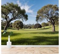 Fresco Prado Verde Sombras De Árboles Cielo Paisaje 3D Papel Pintado Tapiz Textura de Seda Oficina Comedor Sofá Dormitorio Sala Estar TV Fondo Pantalla-430cm×300cm