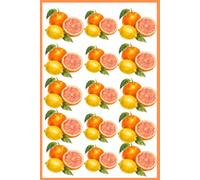 Fresh Citrus Pattern Lined Journal: Aesthetic Lemons & Oranges Notebook: 6x9 Inches, 120 Lined Pages, College Ruled Notebook for Writing, Taking Notes, Journaling & Daily Planning