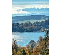 Fresh Fall Morning: Fall Daily Journal for Gratitude, Priorities, Notes and Cozy Autumn Planning