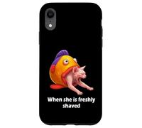 Freshly Shaved Pussy Meme Cat Meme Hilarious Adult Joke Carcasa para iPhone XR