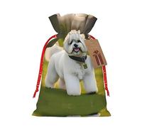 FRESQA Bichon Frise Dog On The Grass - Bolsa de regalo de arpillera con cordón, bolsa de regalo de tela artesanal perfecta para Navidad
