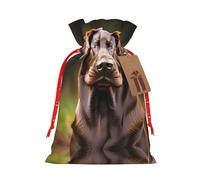 FRESQA Brown Labrador Retriever - Bolsa de regalo de arpillera con cordón, bolsa de regalo de tela artesanal perfecta para Navidad