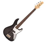 FRET KING ETIQUETA PERCEPCIÓN PERCEPCIÓN PERSONALIZADA 5 CUERDAS BAJO - BLACKBURST