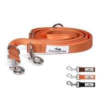 FREUDENTIER Correa para perros de 2 m - Correa ajustable - Acolchado suave, agradable en la mano - Correa resistente para perros medianos y grandes - Modelo Clyde (naranja, 2 m de largo / 25 mm de