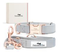 FREUDENTIER® Correa y Collar para Perros de Piel Vegana en Elegante Set - Incluye Caja de Regalo - Colección Hyde Park - Resistente al Invierno y fácil de Limpiar (30-42 cm)