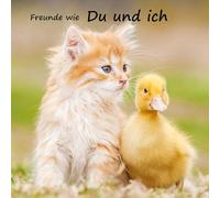 Freunde wie du und ich - das beste Freundebuch weit und breit: Tiefgründige Fragen. Verrückte Challenges. Mega Erinnerungen.