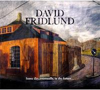Fridlund David - Some Day, Eventually, in the F