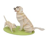 Fridolin Modelo de papel 3D Golden Retriever
